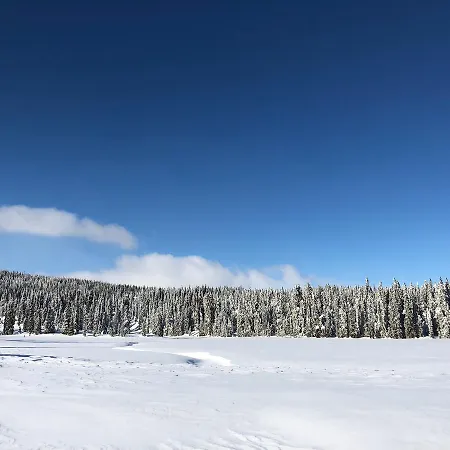 Camp