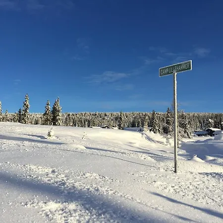 Camp