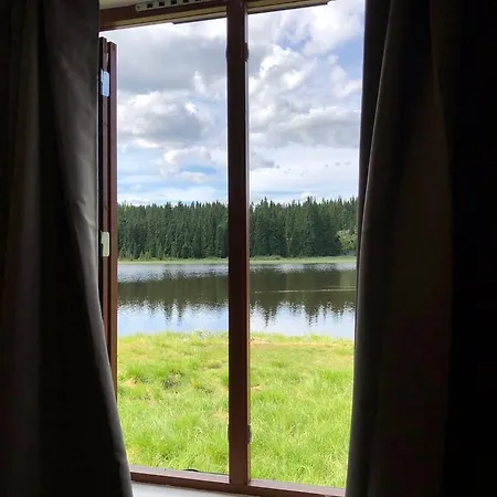 Camp *